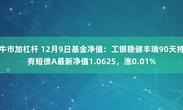 牛市加杠杆 12月9日基金净值：工银稳健丰瑞90天持有短债A最新净值1.0625，涨0.01%