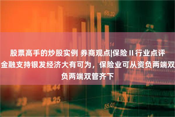 股票高手的炒股实例 券商观点|保险Ⅱ行业点评报告：金融支持银发经济大有可为，保险业可从资负两端双管齐下