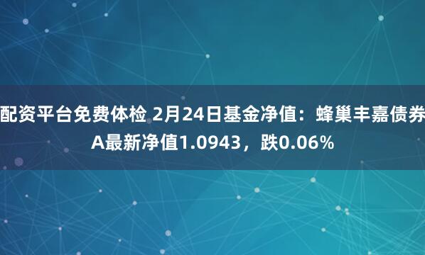 配资平台免费体检 2月24日基金净值：蜂巢丰嘉债券A最新净值1.0943，跌0.06%