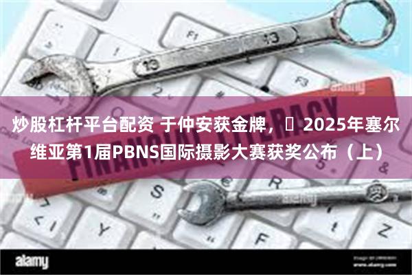 炒股杠杆平台配资 于仲安获金牌，​2025年塞尔维亚第1届PBNS国际摄影大赛获奖公布（上）