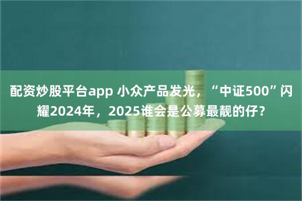 配资炒股平台app 小众产品发光，“中证500”闪耀2024年，2025谁会是公募最靓的仔？